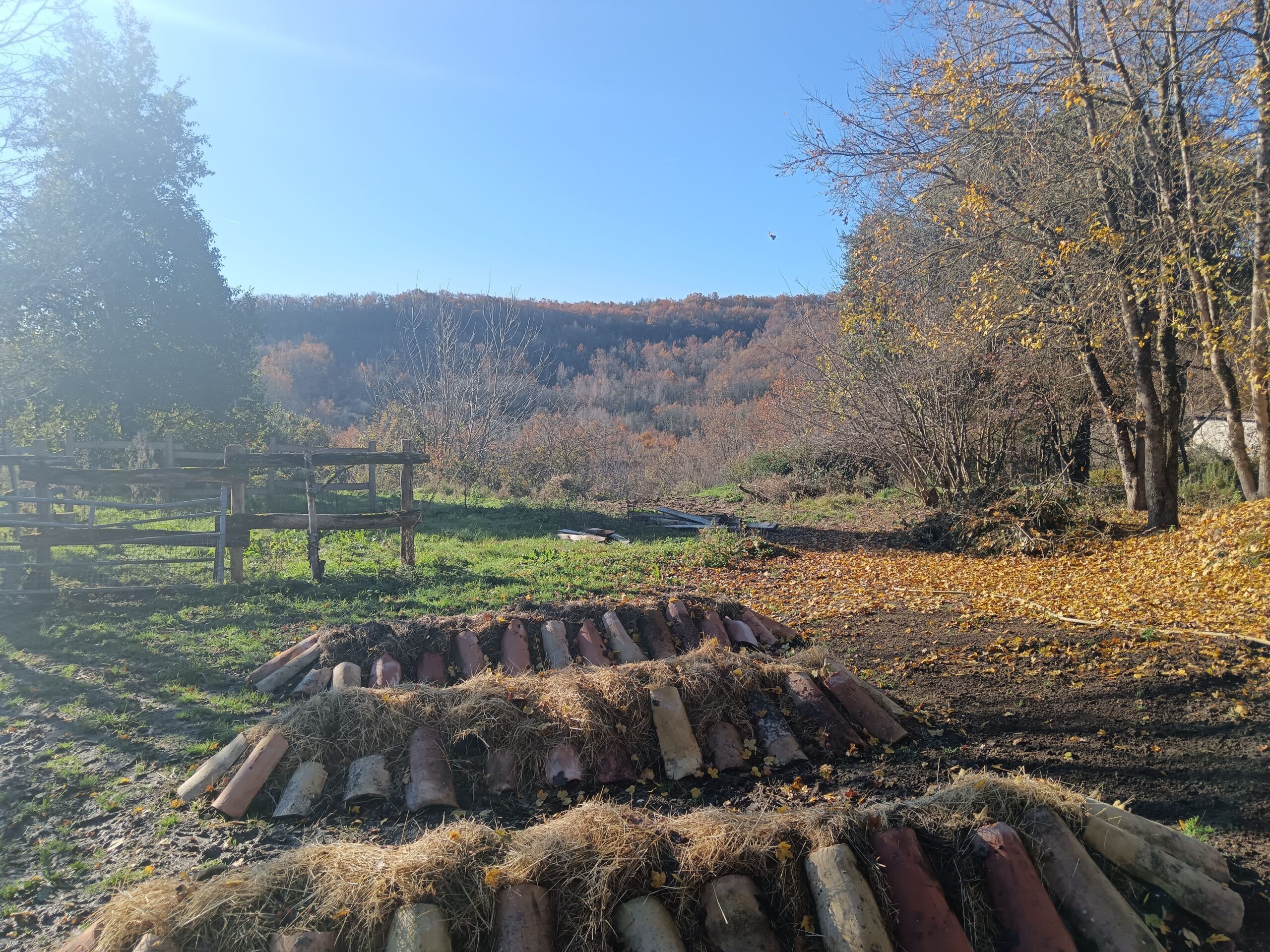 bon cadeau permaculture